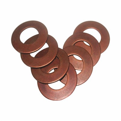 Lavadora de tazón de primavera DIN2093